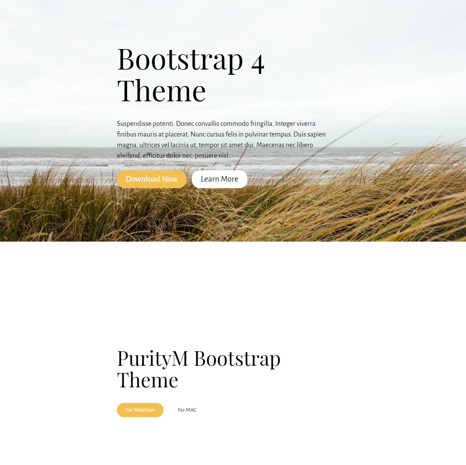 HTML Bootstrap 4 Templates