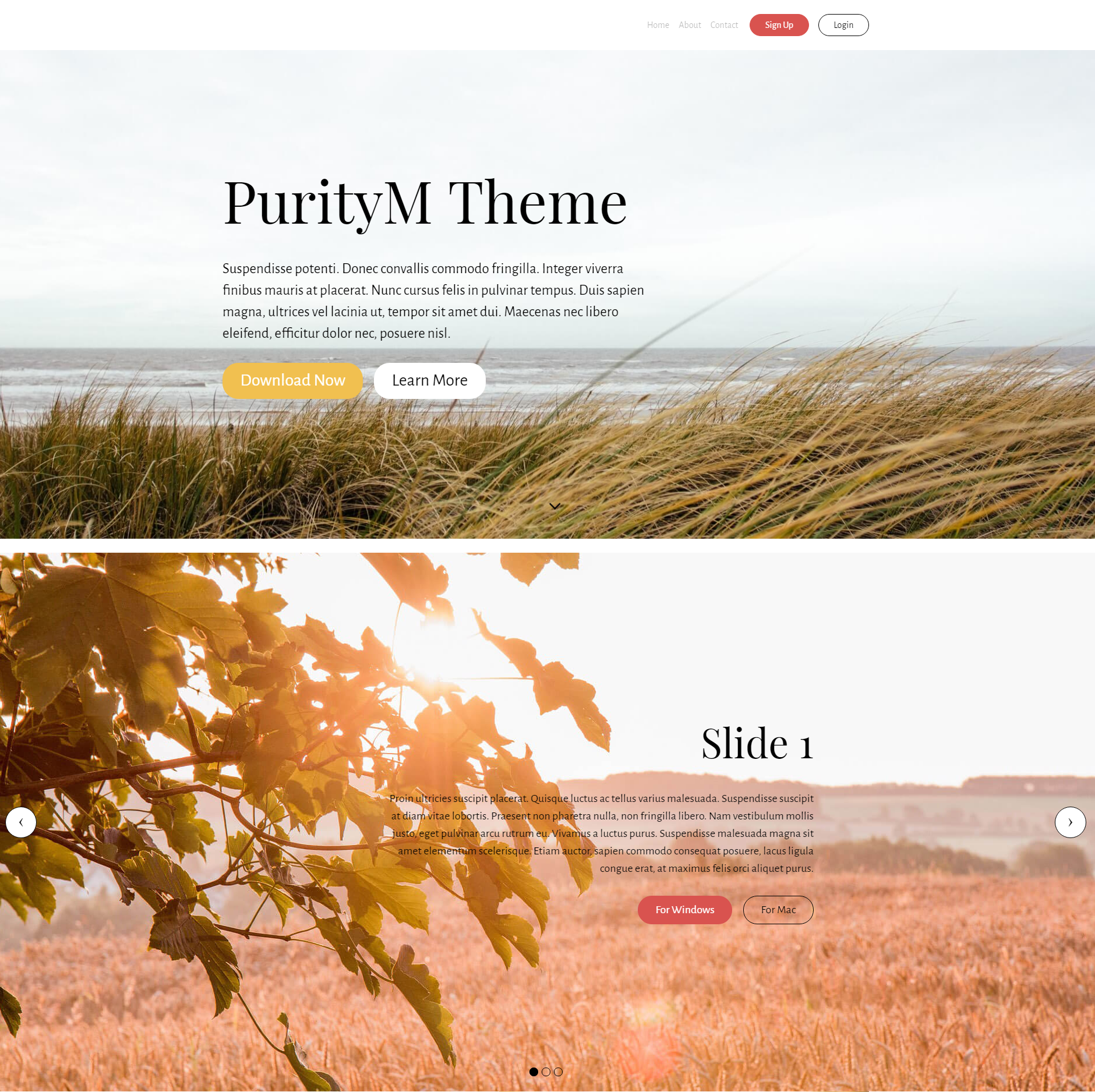 Responsive Bootstrap PurityM Themes