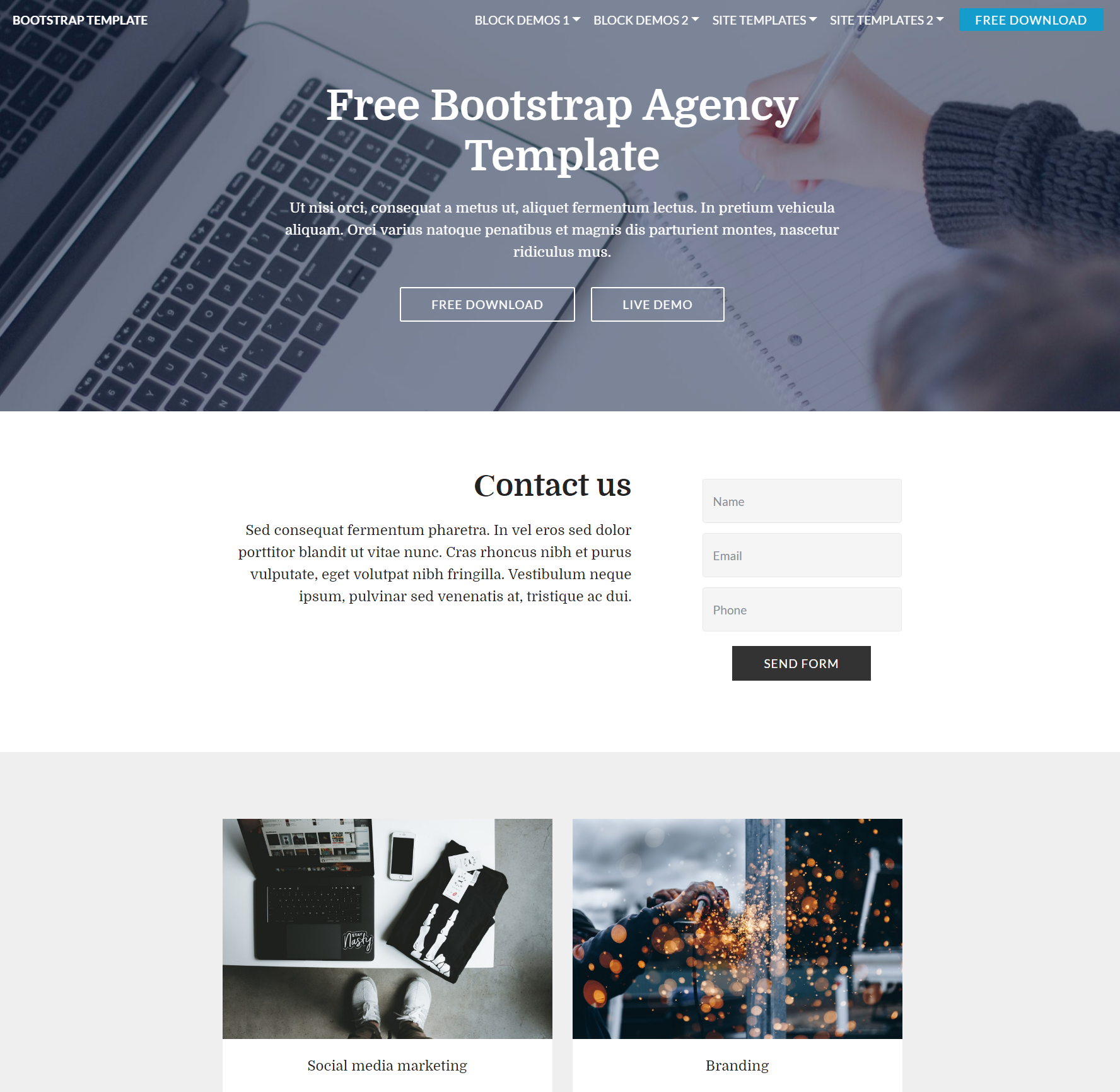 Free Bootstrap Agency Themes