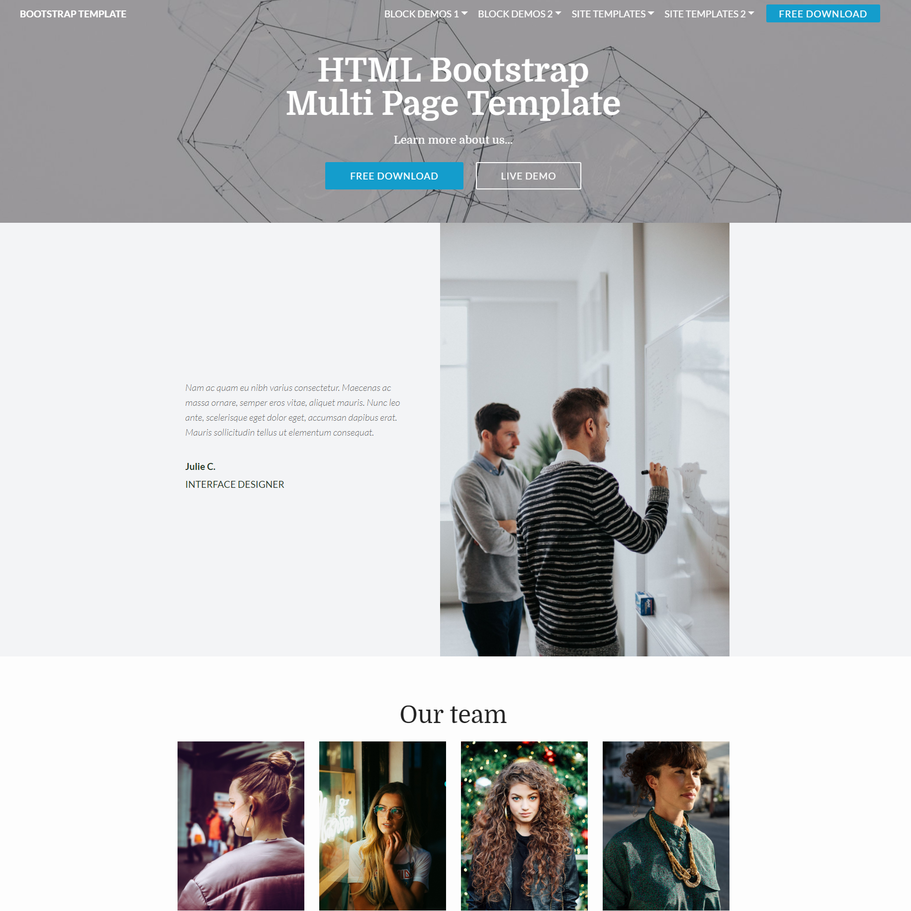 Free Bootstrap Multi page Themes