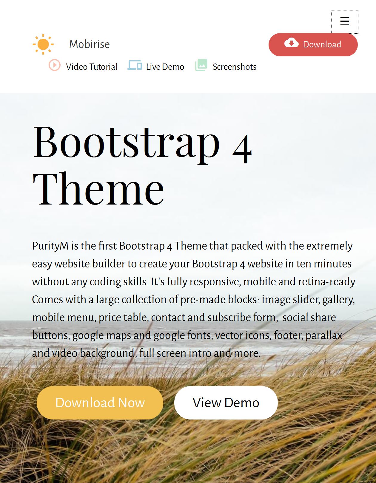 Bootstrap Single Page Template