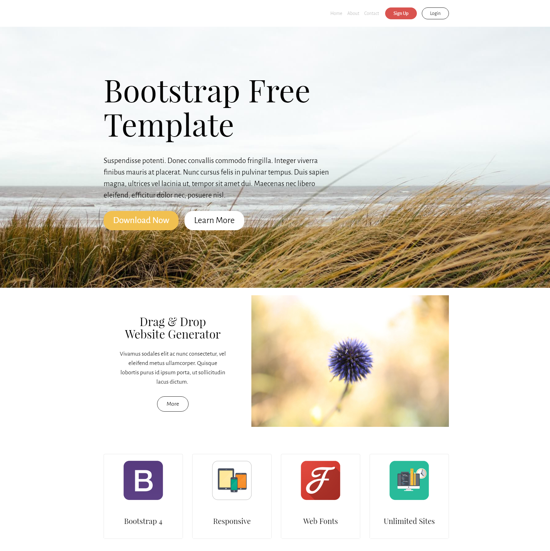 Responsive Bootstrap Free Themes