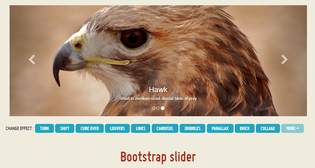  Slider Bootstrap Responsive 
